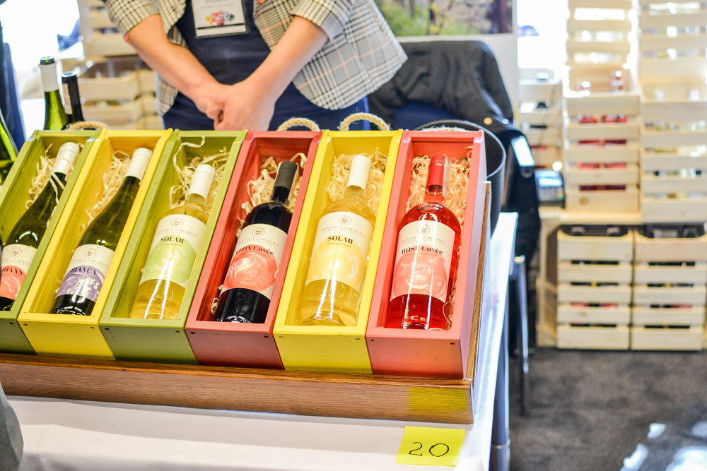 VI Noe Festiwal w Katowicach 31