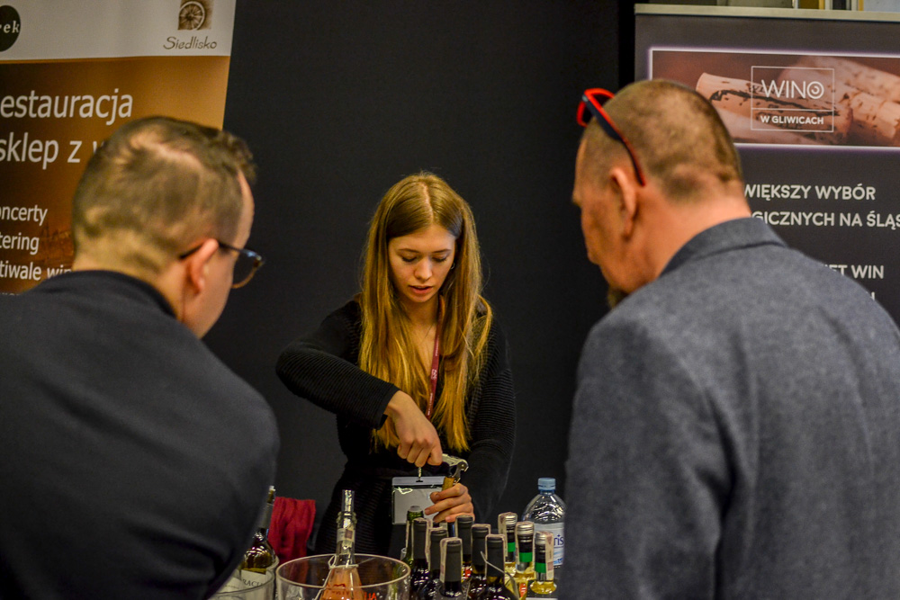 VI Noe Festiwal w Katowicach 33