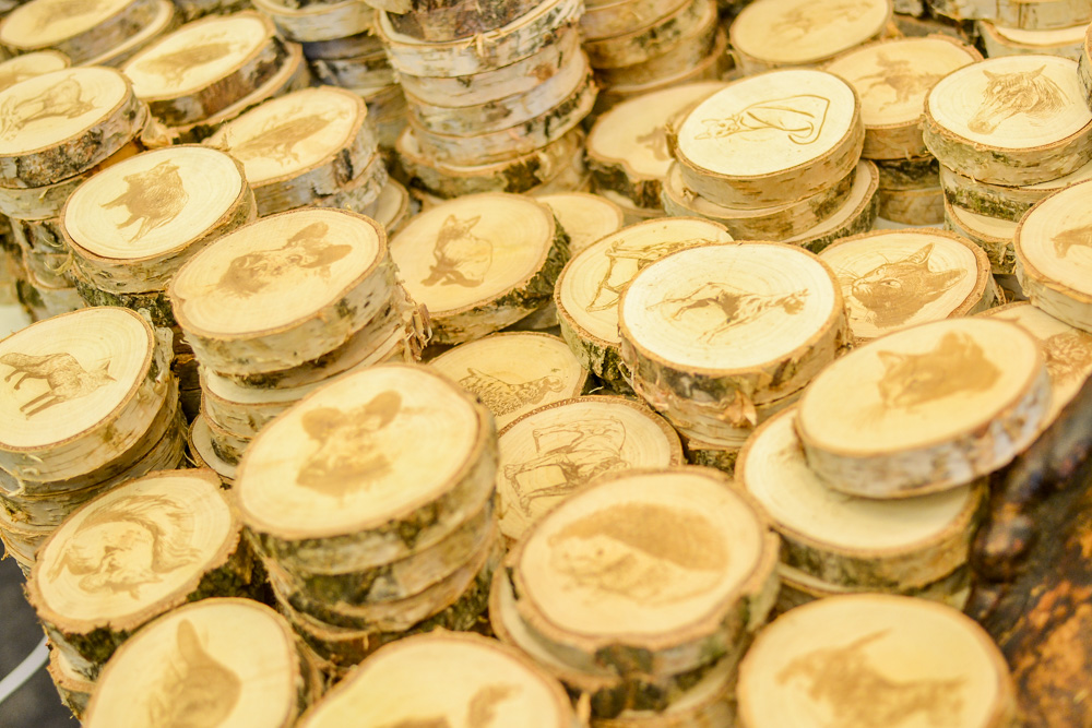 VI Noe Festiwal w Katowicach 37