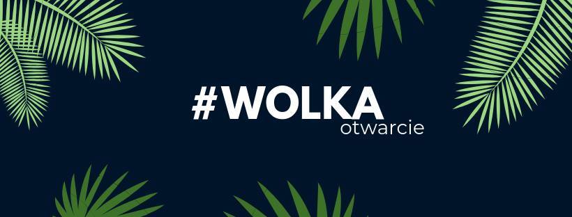 W Chorzowie powstaje miejska dżungla