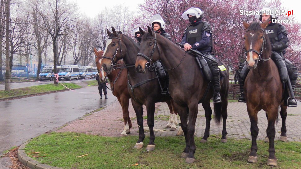 Spokojnie w miniony weekend na Cichej
