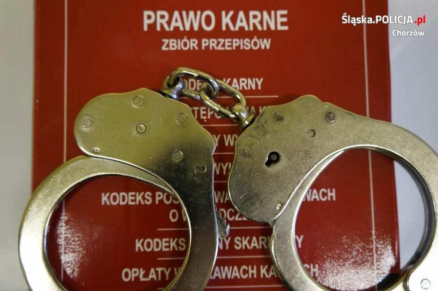 Kradli drogi alkohol w trzech województwach. Zostali zatrzymani w Chorzowie