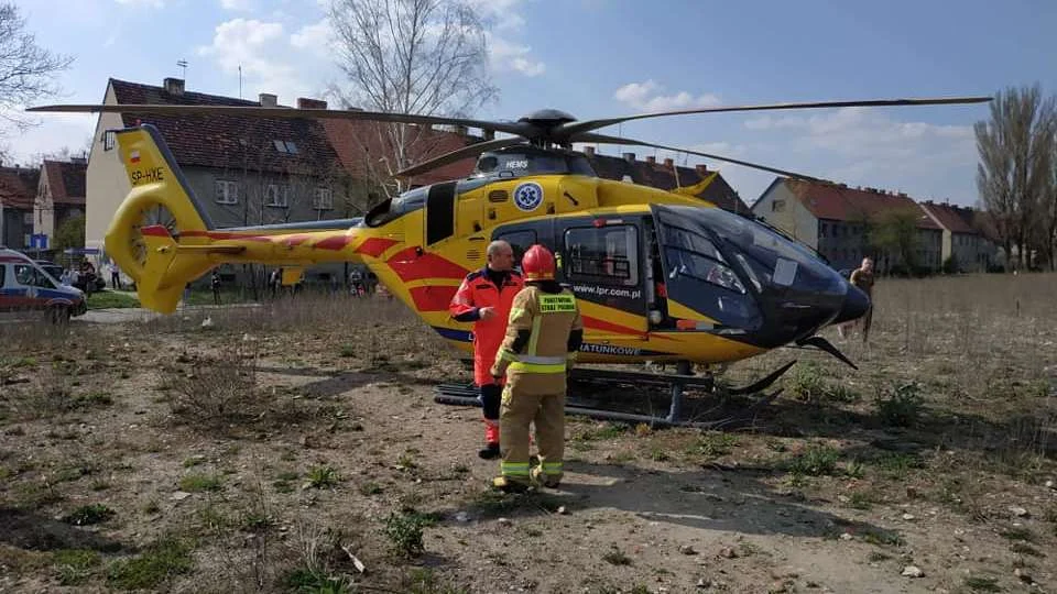 Zabrze: na ulicy Chłopskiej drzewo przygniotło człowieka - mężczyzna zmarł