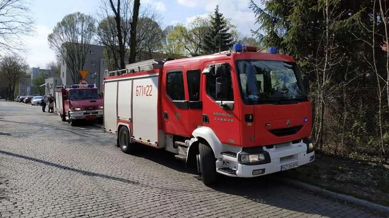 Zabrze: na ulicy Chłopskiej drzewo przygniotło człowieka - mężczyzna zmarł