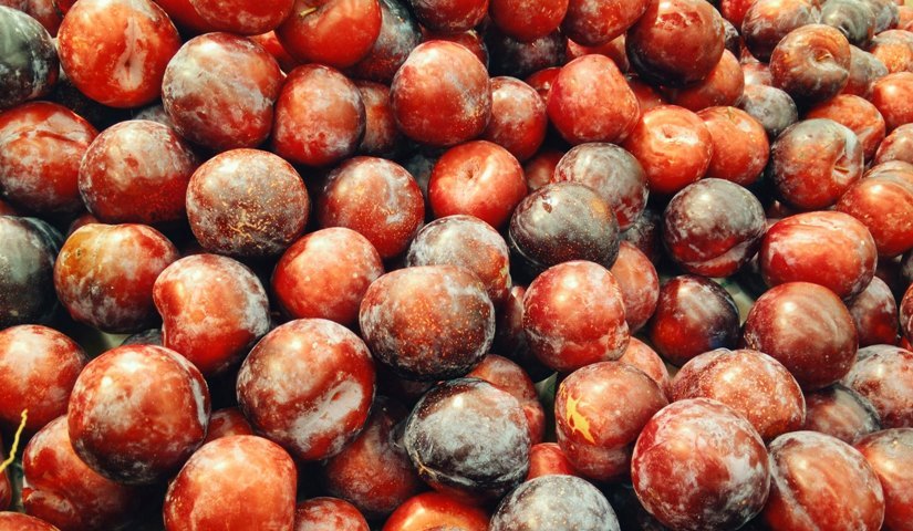 Sanepid przypomina o zasadach higienicznej produkcji i zbioru owoców i warzyw