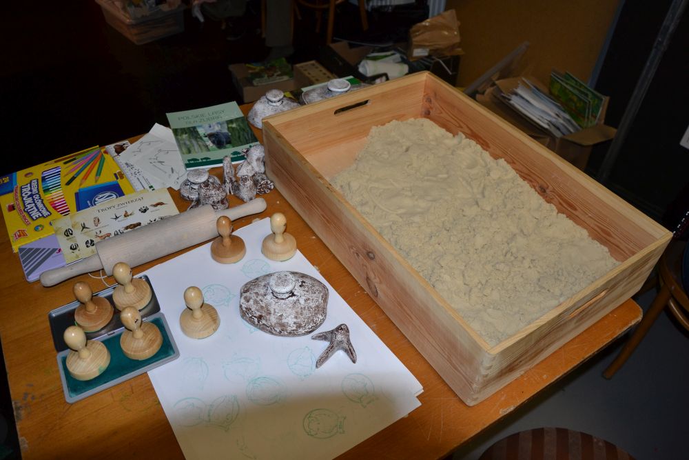 rodzinny-piknik-ekologiczny-zory-MOK 20