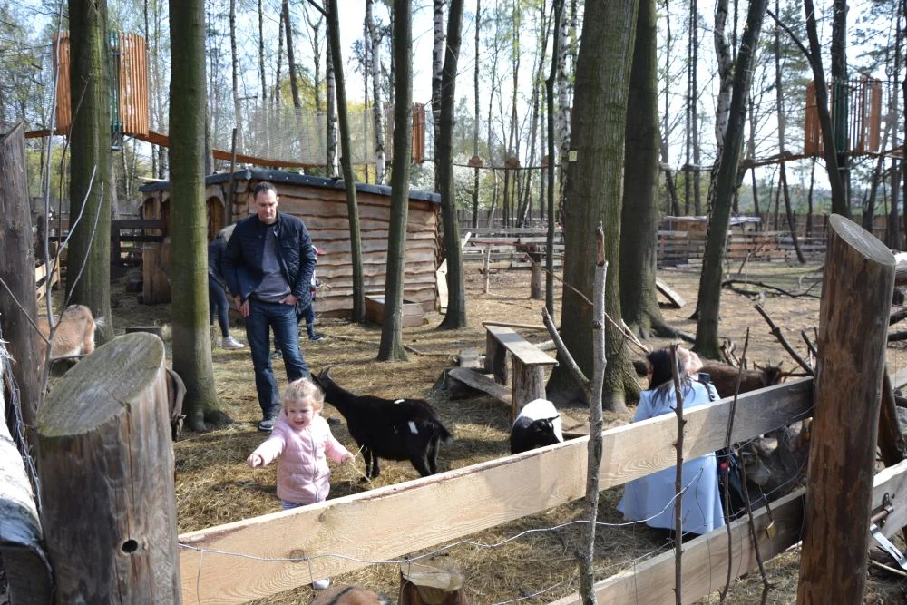 przedpremierowe-otwarcie-miasteczka-Twinpigs-zory 7