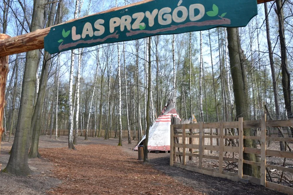 przedpremierowe-otwarcie-miasteczka-Twinpigs-zory 23