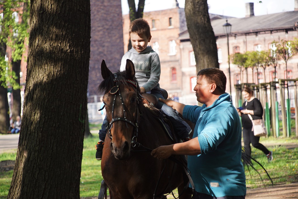 Koncert w Parku Kozioła 17