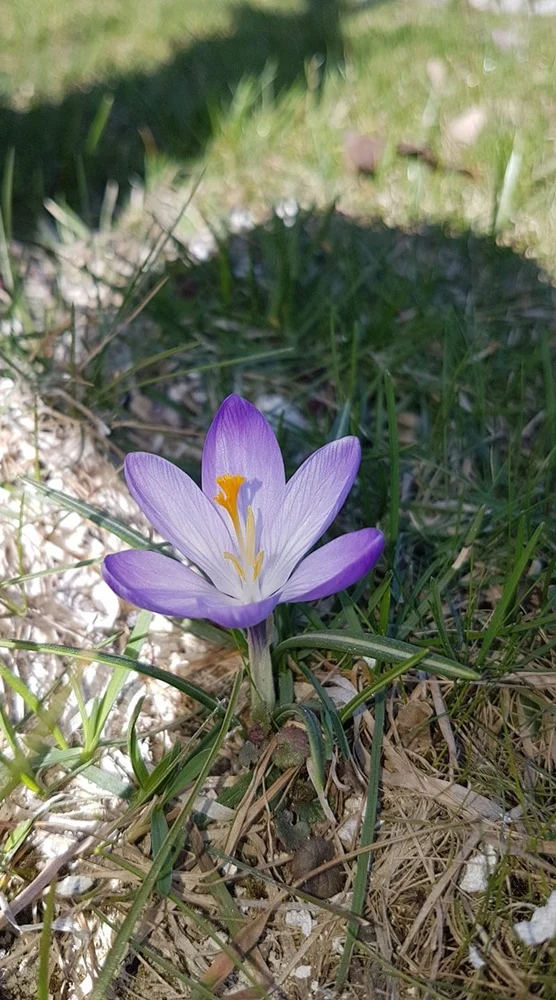 Wiosna w mieście 14