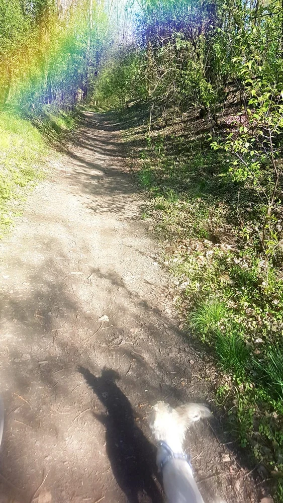 Wiosna w mieście 28