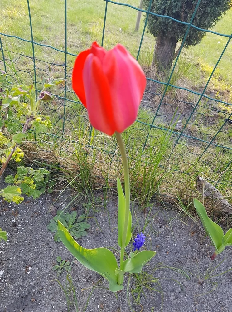 Wiosna w mieście 29