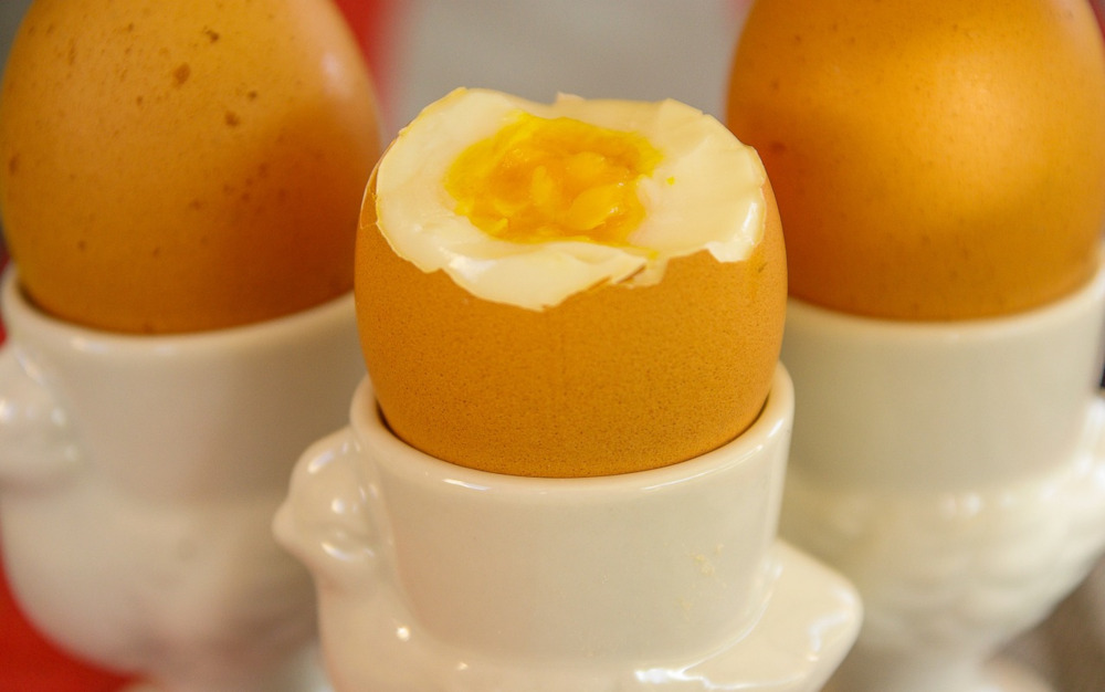 GIS ostrzega: Kupiłeś te jajka? Nie jedz ich – są skażone Salmonellą!