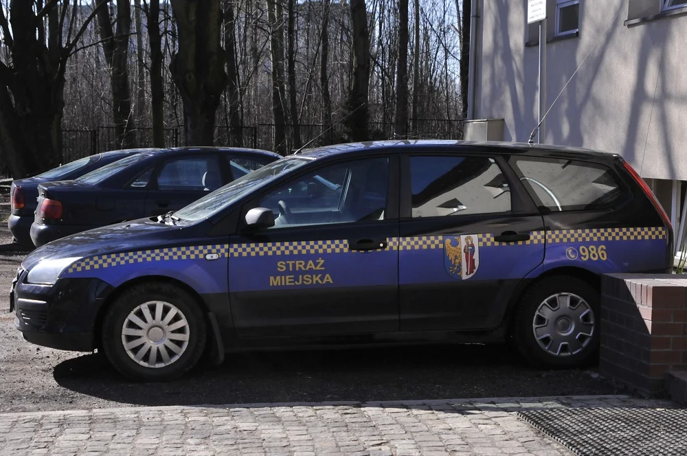 Ujęcie sprawcy kradzieży po służbie