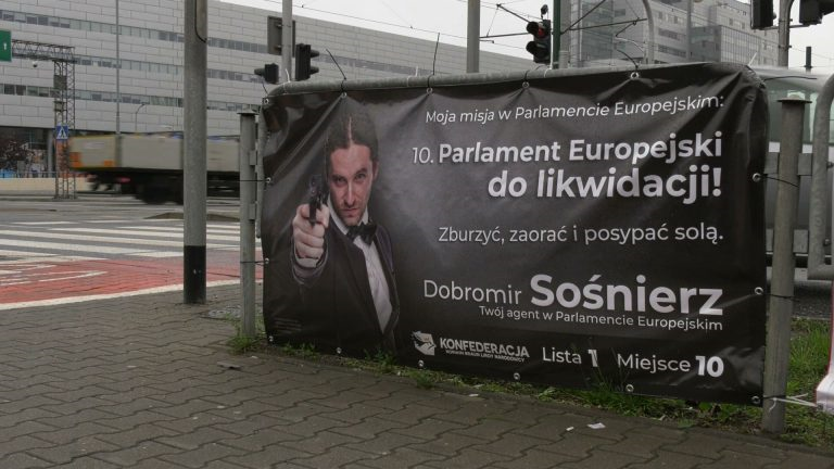 Europarlament: Jedni chcą go zaorać, inni reformować. Jakie pomysły mają kandydaci?