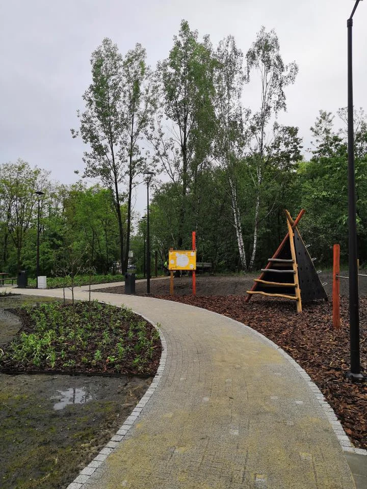 Zakończyły się prace związane z zagospodarowaniem ruin amfiteatru