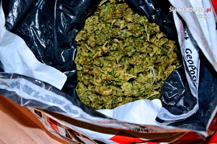 Areszt dla 18-latka z Pyskowic