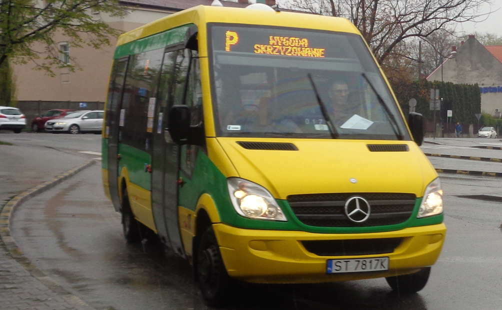 Śląski Ogród Botaniczny Mikołów: Od maja wracają weekendowe kursy mikrobusa P