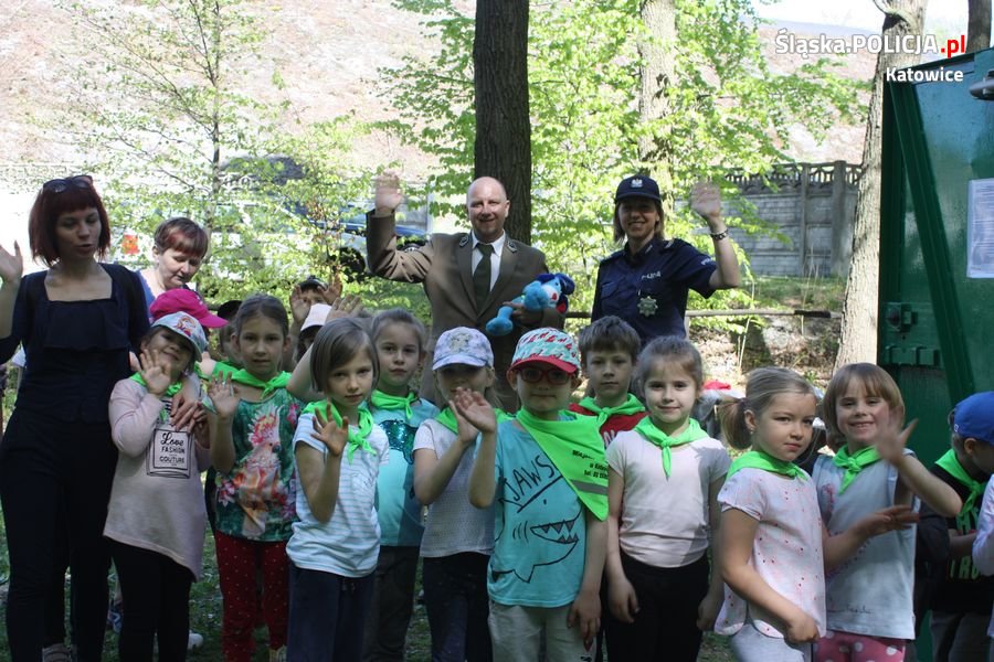 Maluchy w katowickim nadleśnictwie