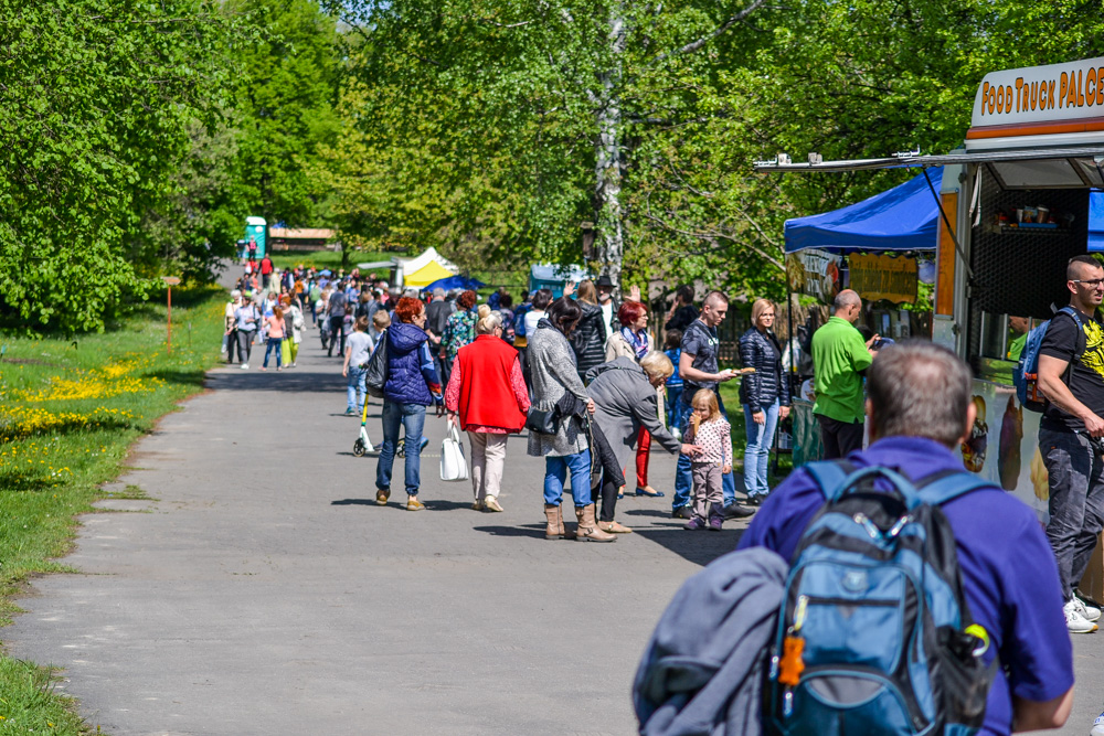 Śląskie Gody w Skansenie - setki ludzi i piękna pogoda [ZDJĘCIA]