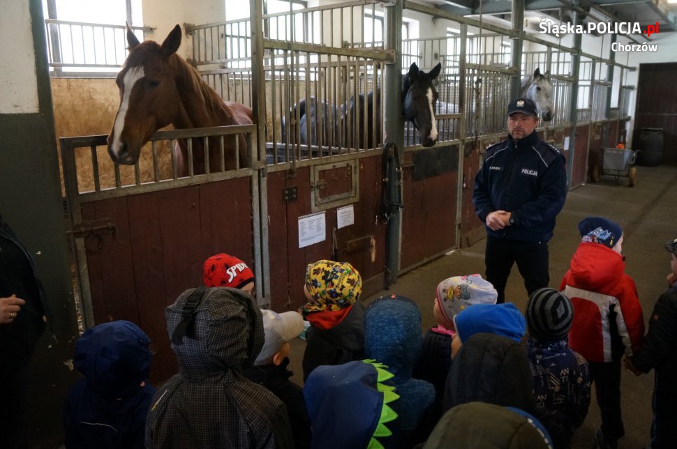 Chorzowski Zespół Konny odwiedziły przedszkolaki