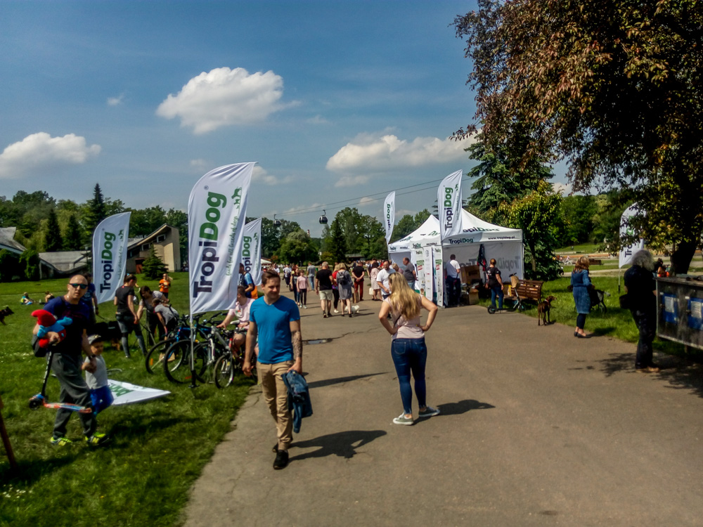 Pieseły, kotełki i fretki - Zwierzynalia 2019 w Parku Śląskim 24