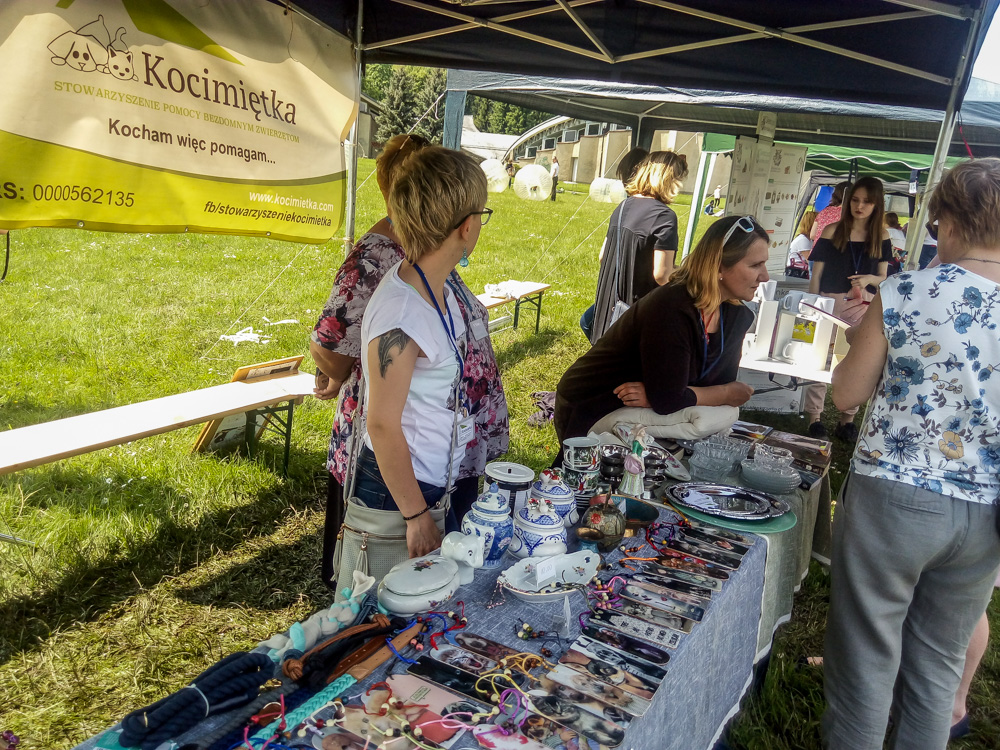 Pieseły, kotełki i fretki - Zwierzynalia 2019 w Parku Śląskim 31