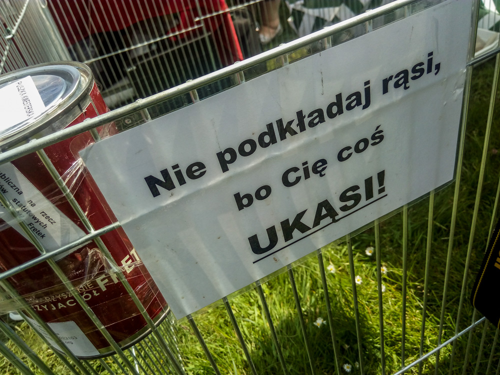 Pieseły, kotełki i fretki - Zwierzynalia 2019 w Parku Śląskim 33