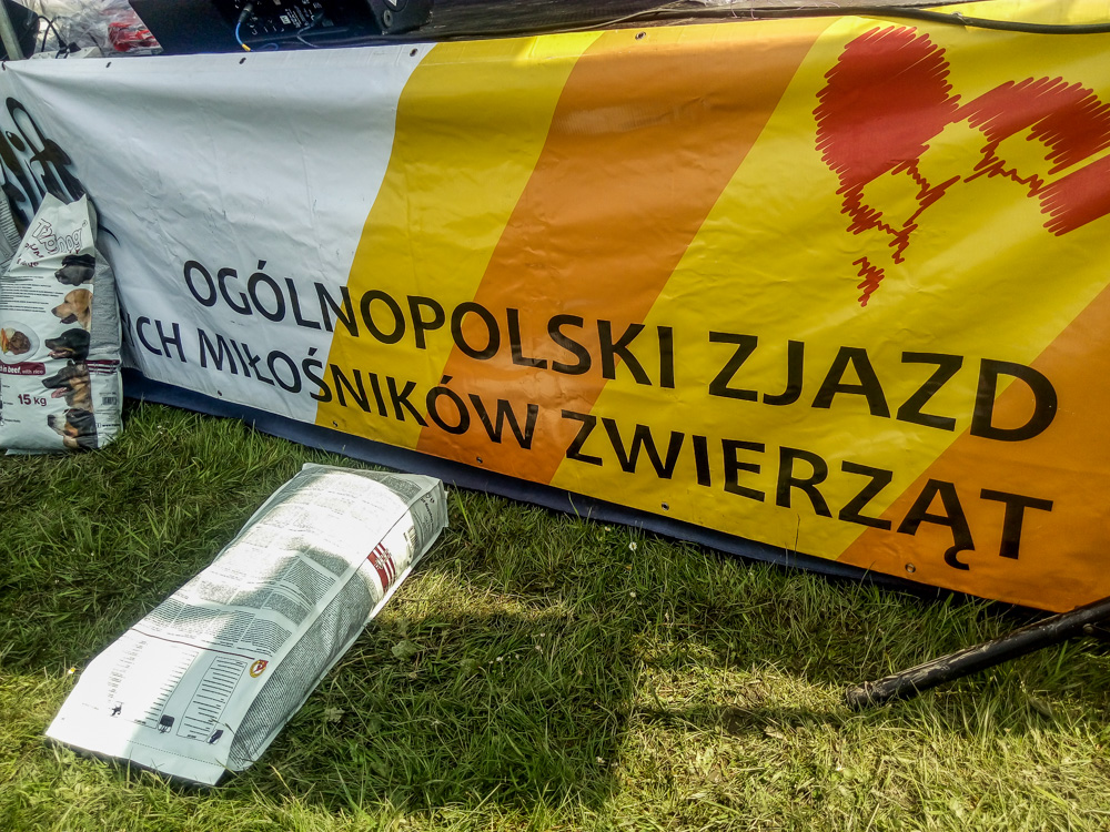 Pieseły, kotełki i fretki - Zwierzynalia 2019 w Parku Śląskim 36