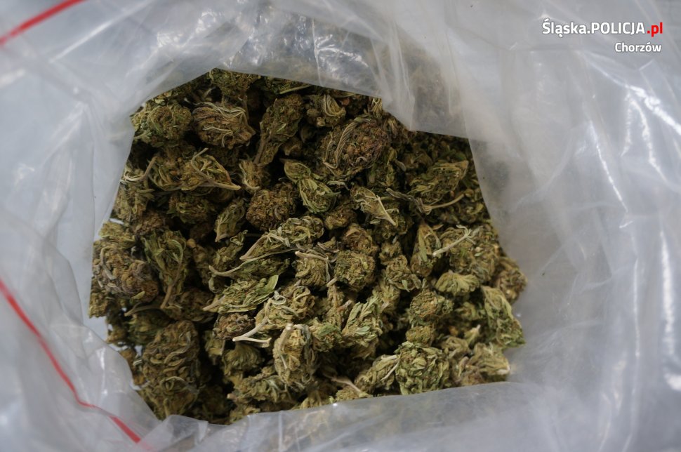 18 - letni chorzowianin zatrzymany za posiadanie marihuany