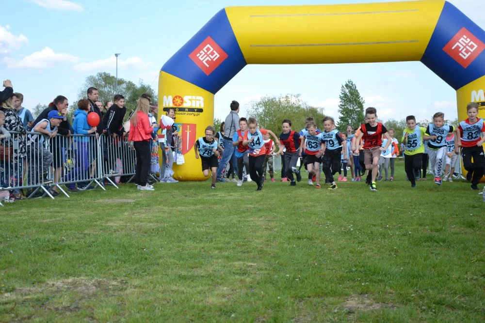 sportowa-majowka-zory-cegielnia 7