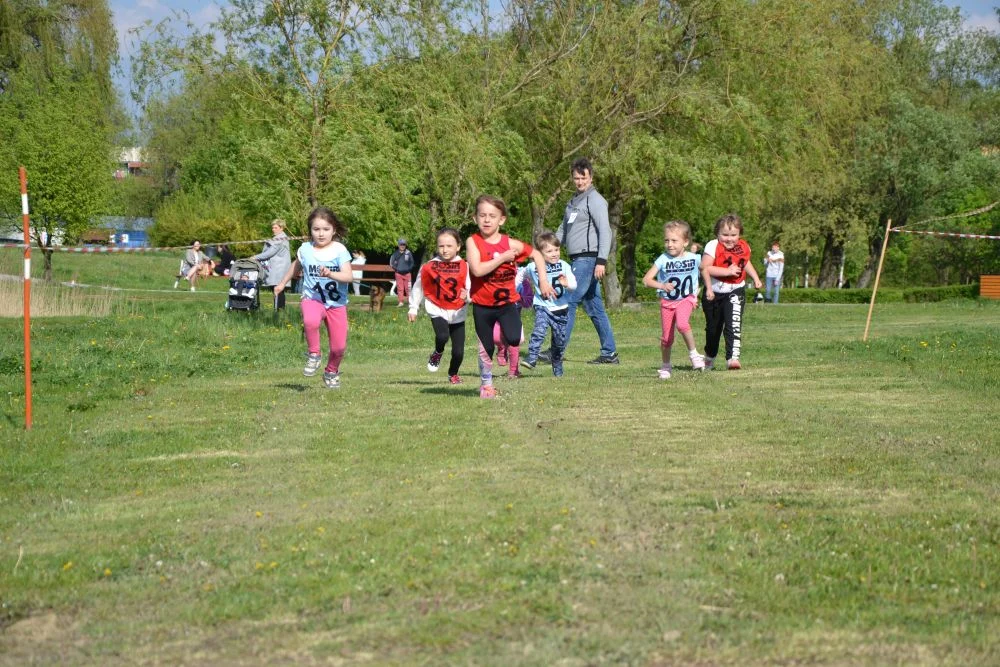 sportowa-majowka-zory-cegielnia 20
