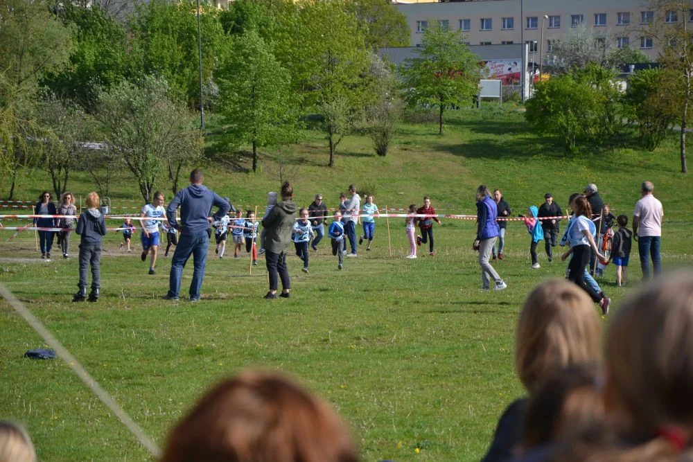 sportowa-majowka-zory-cegielnia 24