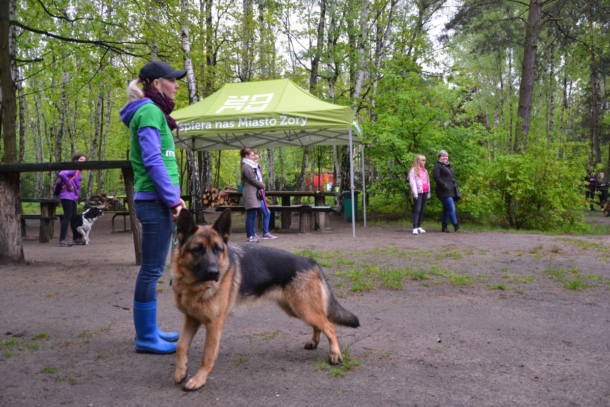 I-zorski-zlot-milosnikow-psow 3