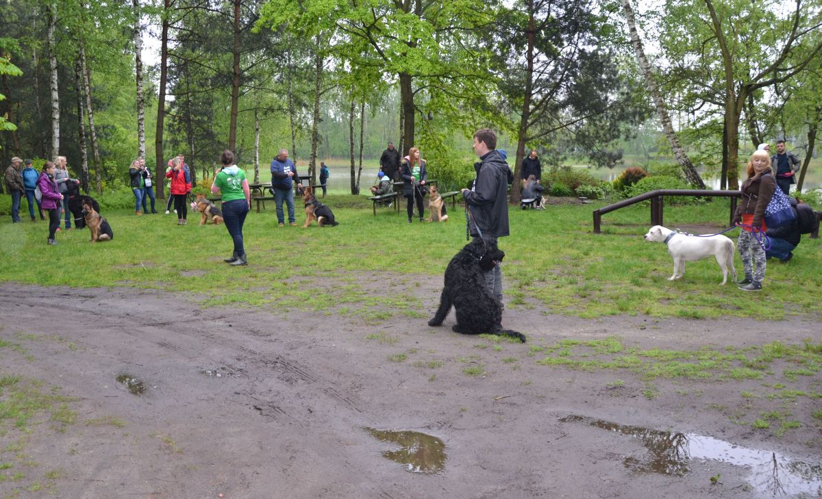 I-zorski-zlot-milosnikow-psow 8