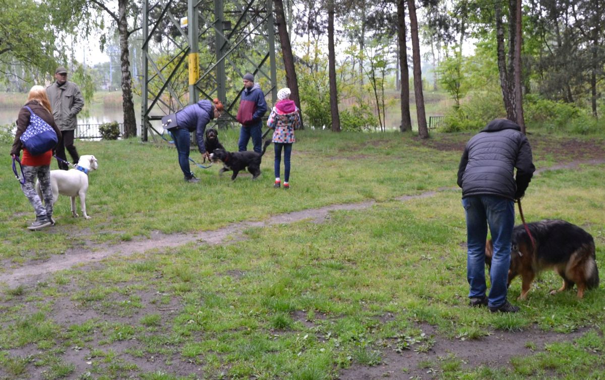 I-zorski-zlot-milosnikow-psow 9