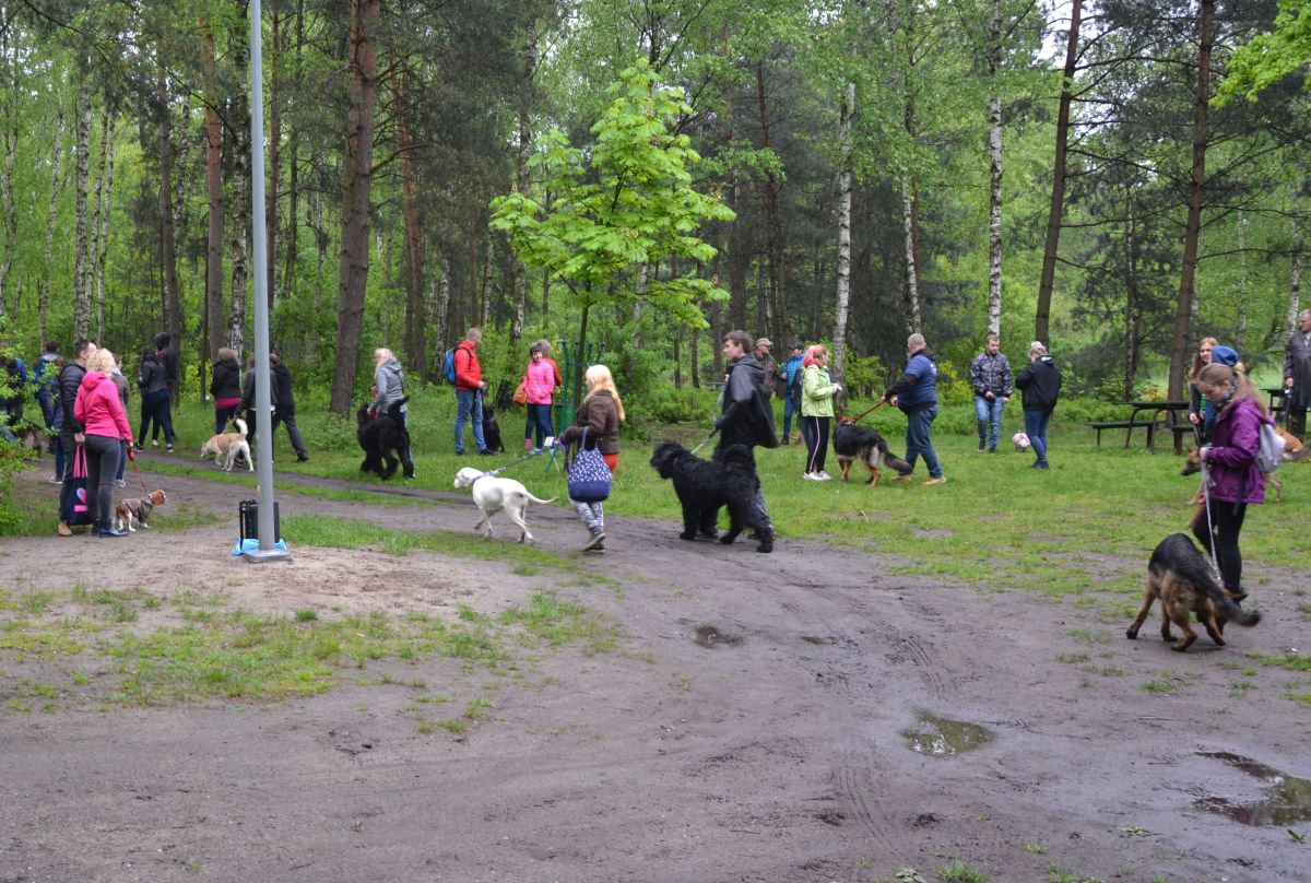 I-zorski-zlot-milosnikow-psow 10