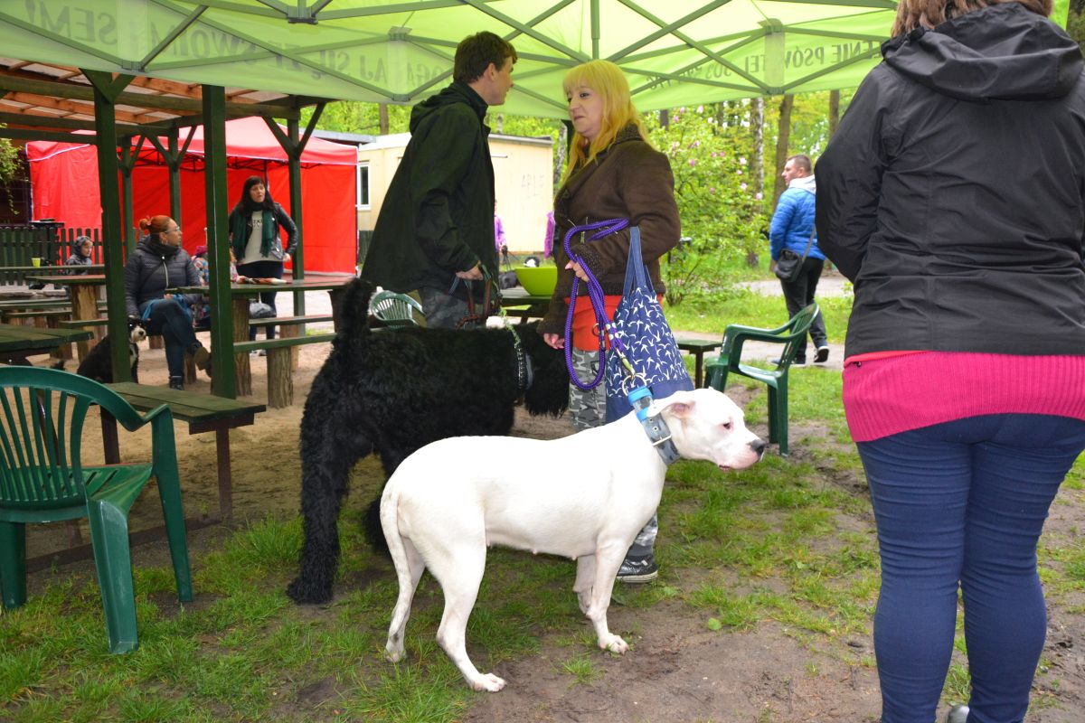 I-zorski-zlot-milosnikow-psow 11