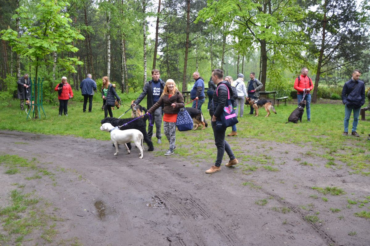 I-zorski-zlot-milosnikow-psow 12