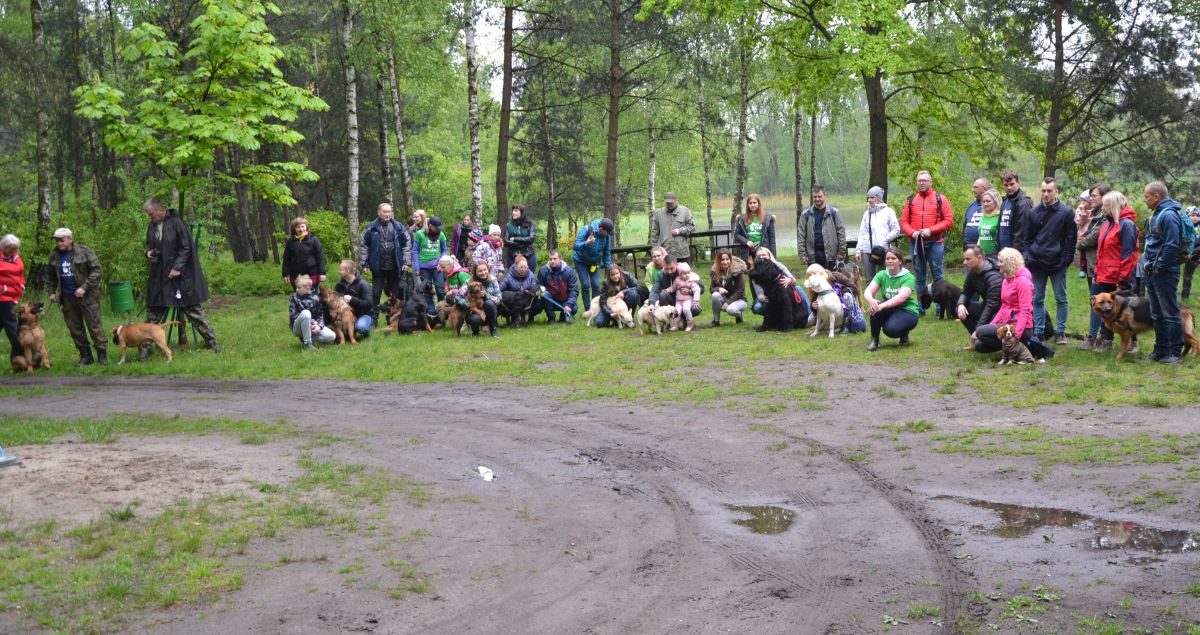 I Żorski Zlot Miłośników Psów w parku Piaskownia [zdjęcia]