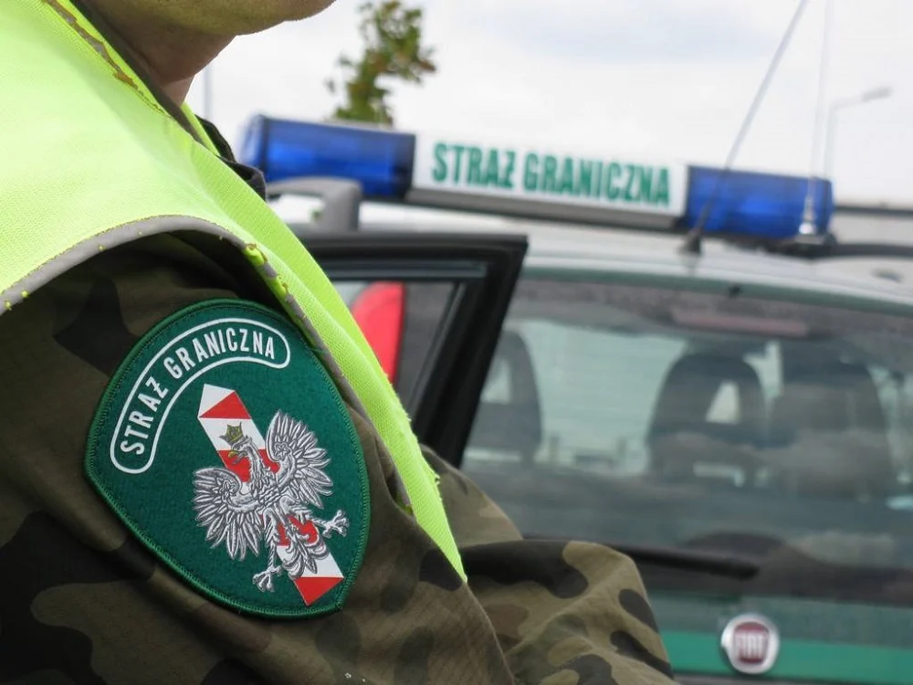 Nielegalni imigranci zatrzymani w Warszowicach