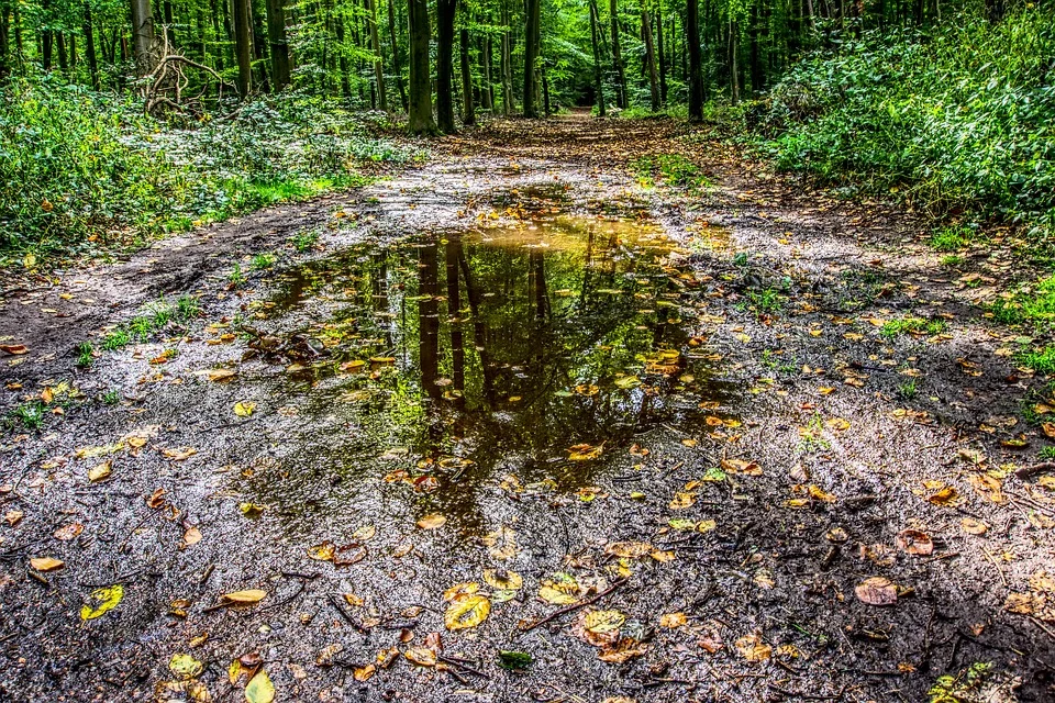Trudne warunki pogodowe. Wojewoda Śląski zarządził pogotowie przeciwpowodziowe