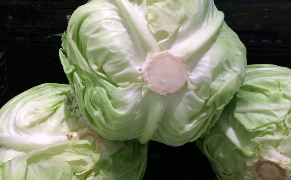 Kapusta z Lidla może zaszkodzić. Sieci wycofuje partię warzyw