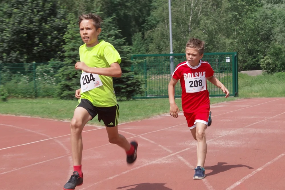 Bieg Wiewiórki 14