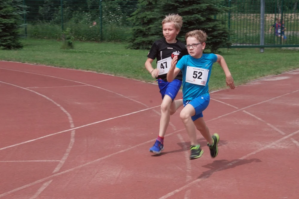 Bieg Wiewiórki 17