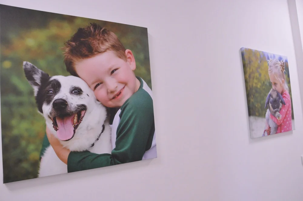 W Rudzie Śląskiej powstało krematorium dla zwierząt!