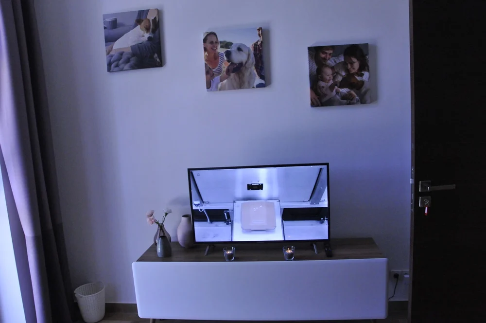 Otwarcie krematorium dla zwierząt 12