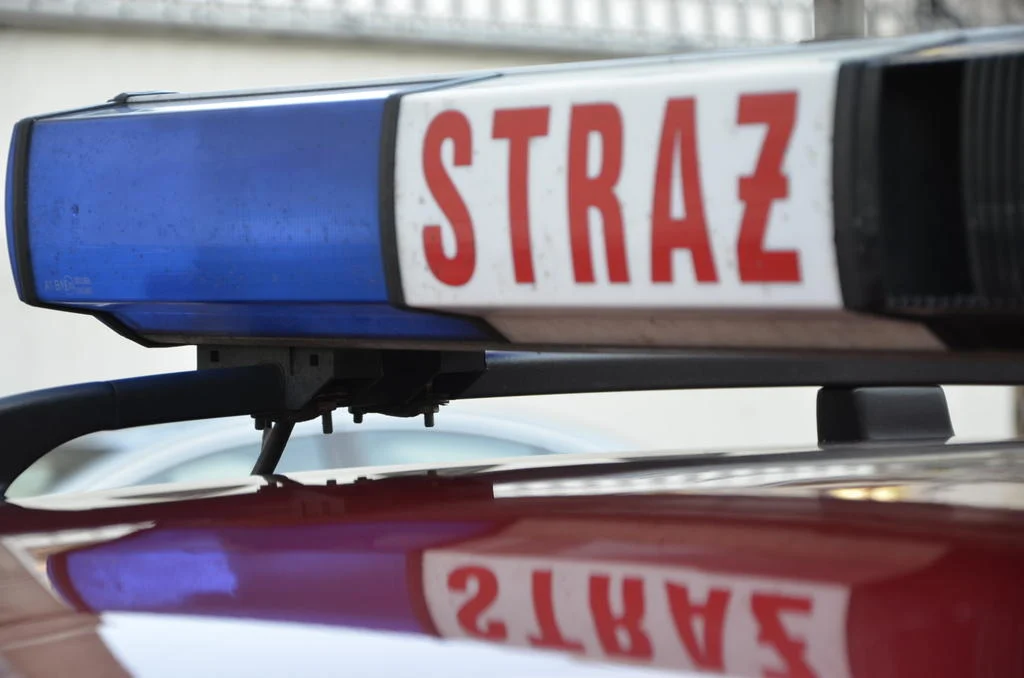Tragiczny finał poszukiwań 18-latka z Sosnowca nad zbiornikiem wodnym Pogoria III
