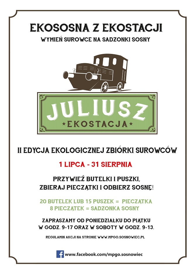 Ekososna z Ekostacji. Wymień surowce na sadzonki sosny