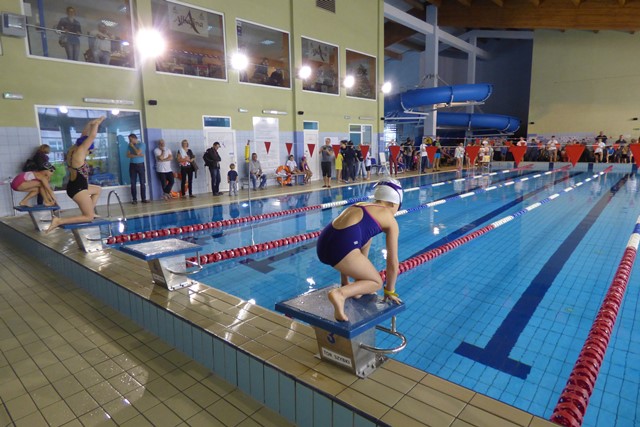 XI Zawody pływackie z okazji "Dnia Dziecka" - podsumowanie